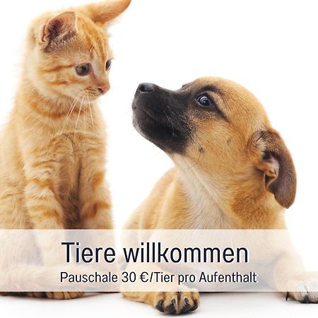 Penthouse - 3 Schlafzimmer- Sonnige Dachterrasse -Whirlpool & Alpenblick - Perfekt Fuer Romantik Oder Familienurlaub Mit Kind, Hund Willkommen - By Ferienwohnenamsee - Юберлинген Екстериор снимка