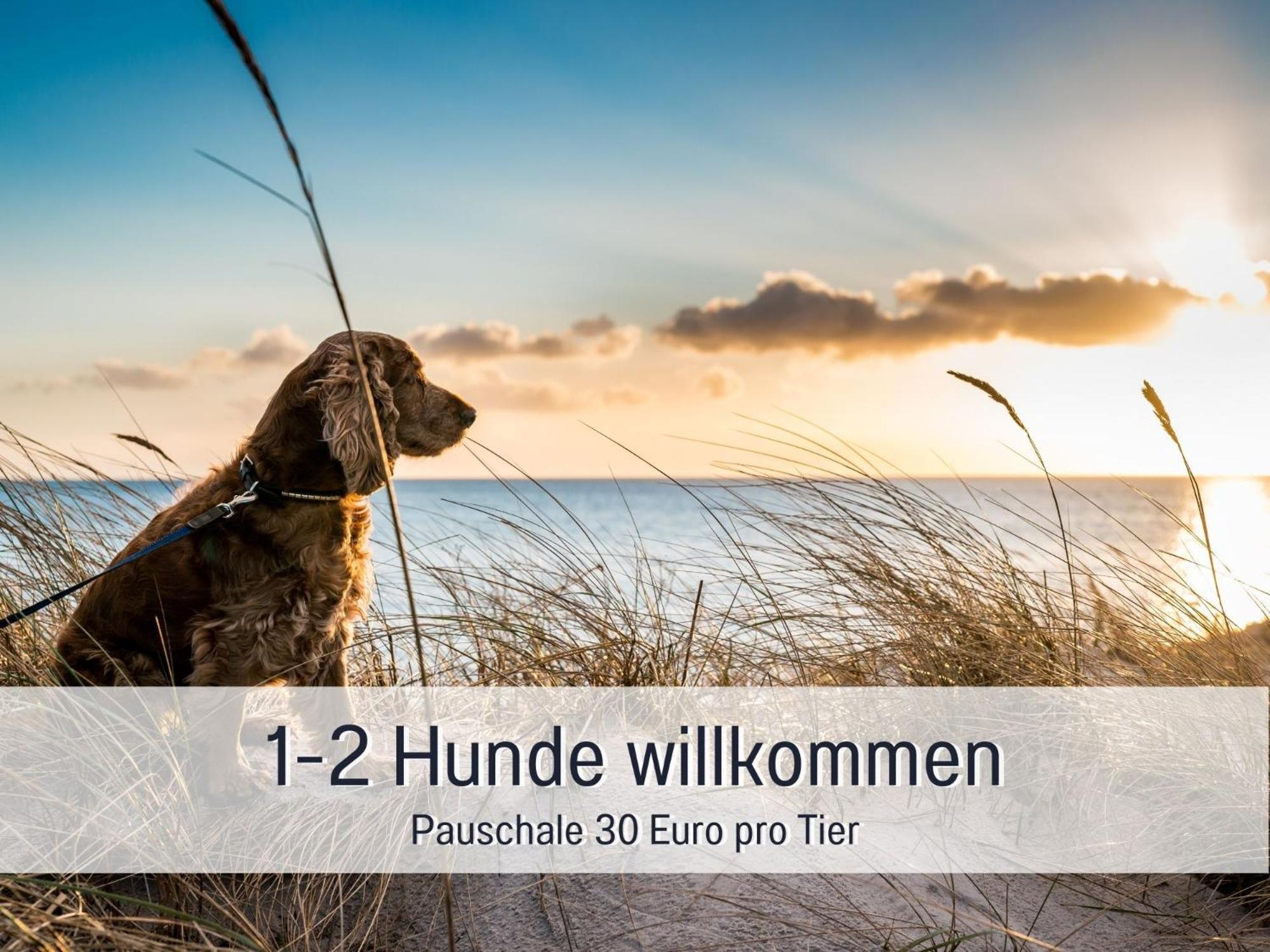 Penthouse - 3 Schlafzimmer- Sonnige Dachterrasse -Whirlpool & Alpenblick - Perfekt Fuer Romantik Oder Familienurlaub Mit Kind, Hund Willkommen - By Ferienwohnenamsee - Юберлинген Екстериор снимка