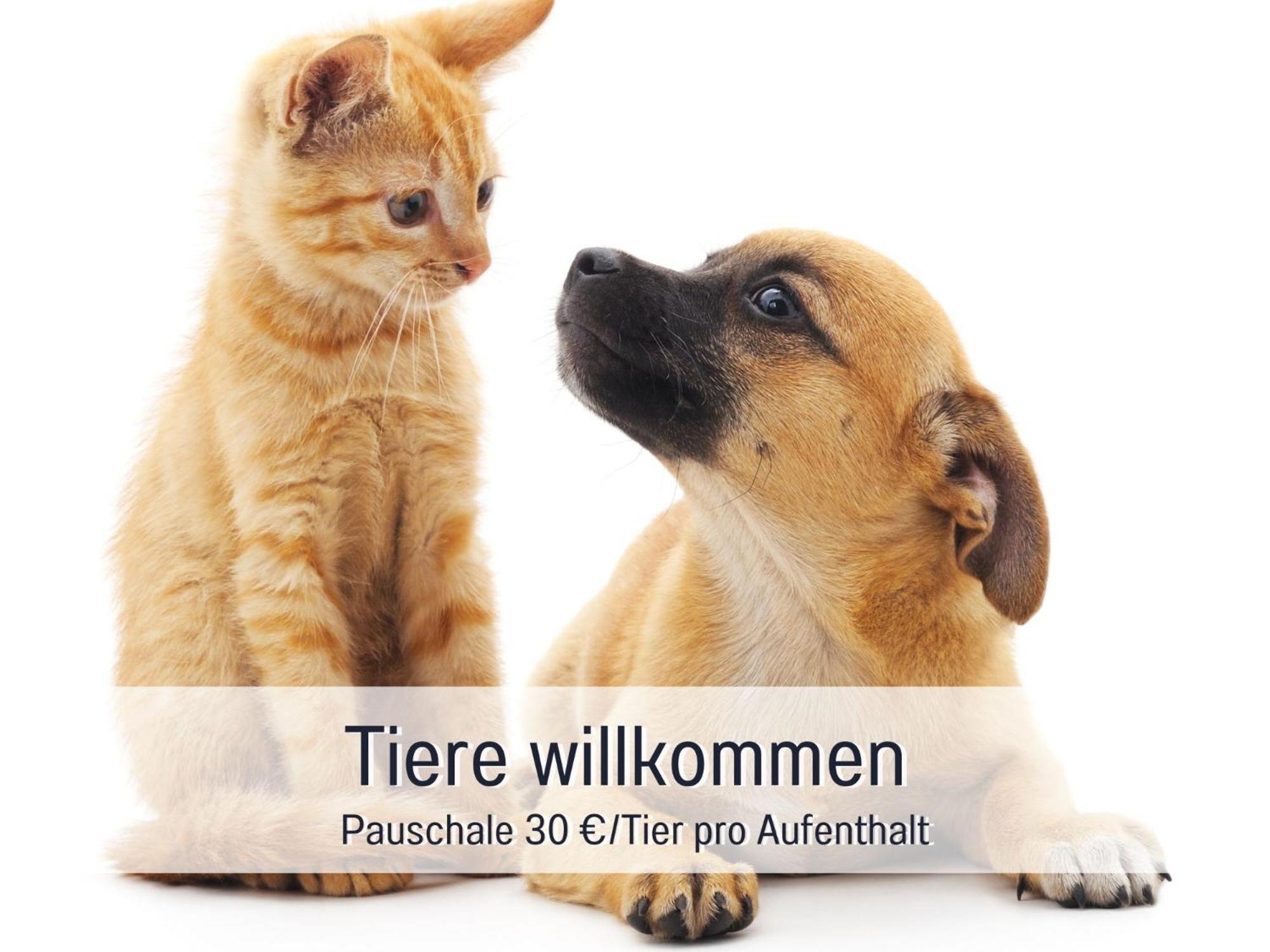 Penthouse - 3 Schlafzimmer- Sonnige Dachterrasse -Whirlpool & Alpenblick - Perfekt Fuer Romantik Oder Familienurlaub Mit Kind, Hund Willkommen - By Ferienwohnenamsee - Юберлинген Екстериор снимка